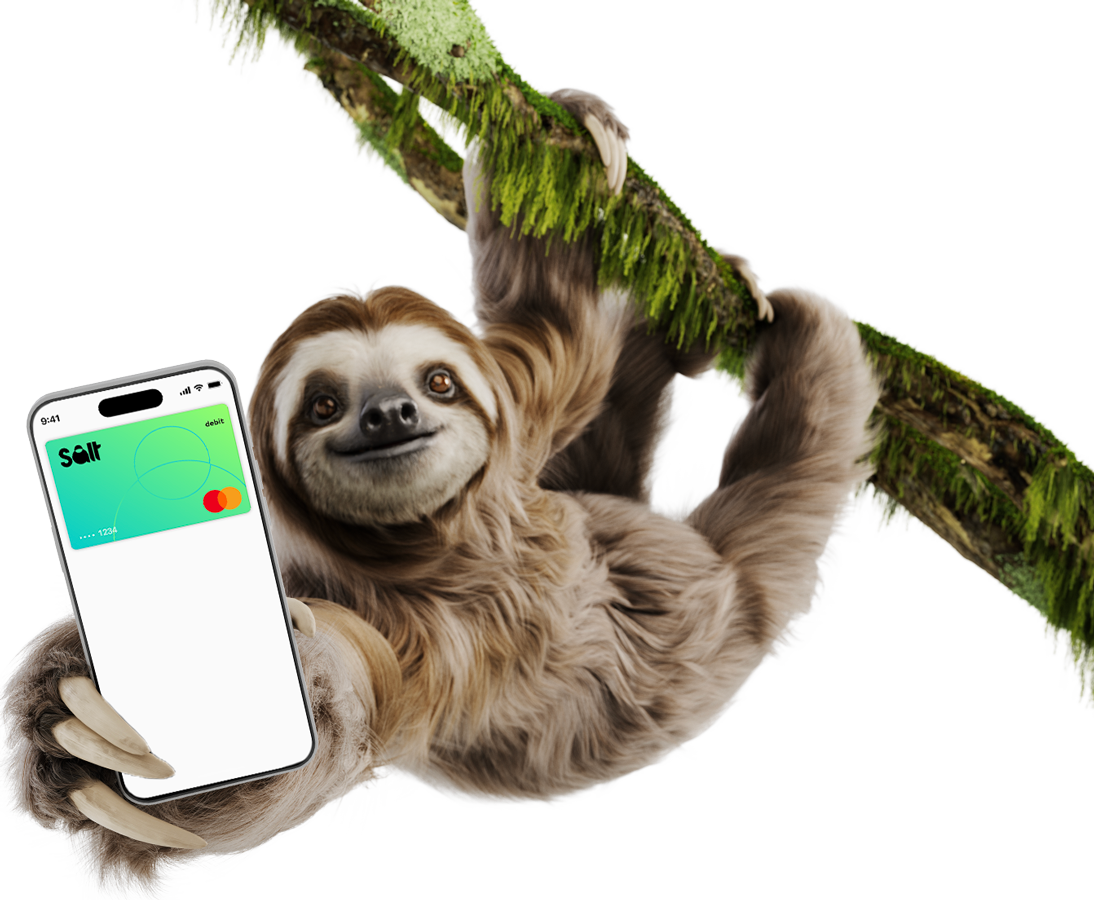 Cashback în Timișoara