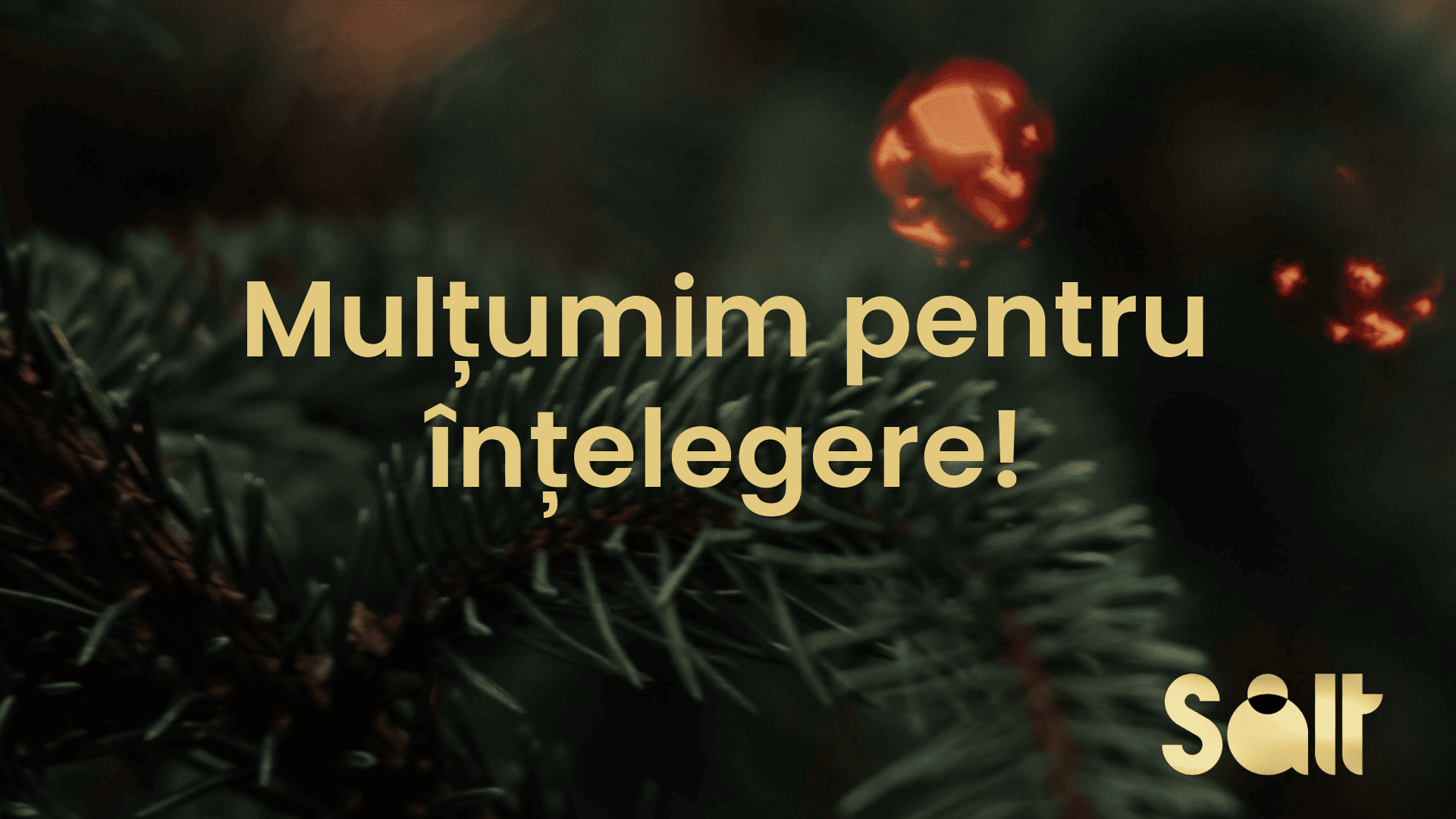 Mulțumim pentru răbdare și înțelegere!