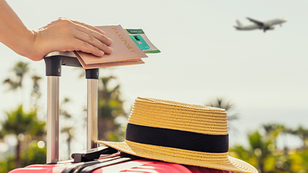 Kitul de voyage, voyage